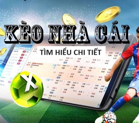 Lịch Euro Hôm Nay Mới Nhất Từ Chuyên Gia Bóng Đá